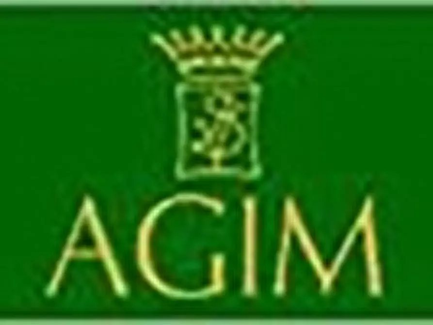 capannone in affitto a Figline e Incisa Valdarno in zona Figline Valdarno