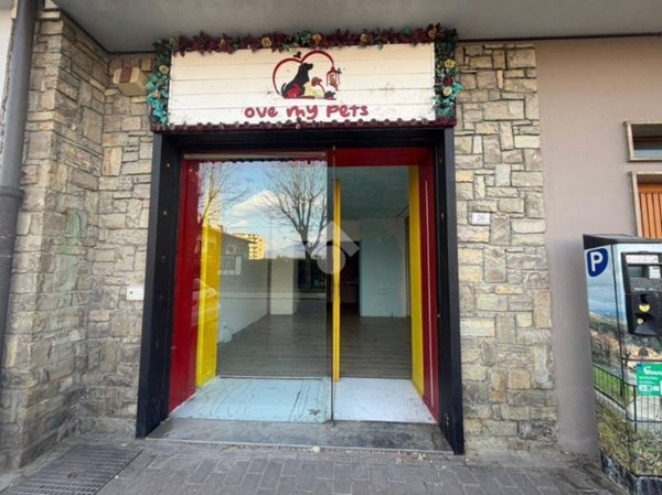 negozio in affitto a Figline e Incisa Valdarno