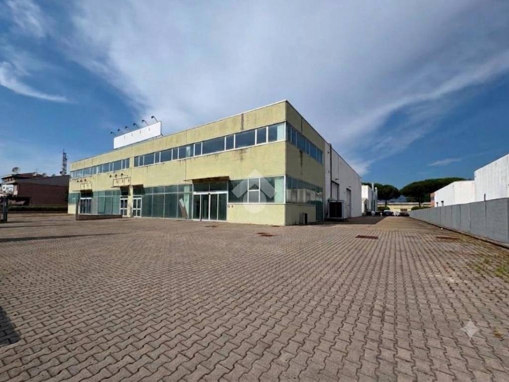 negozio in affitto a Figline e Incisa Valdarno in zona Massa