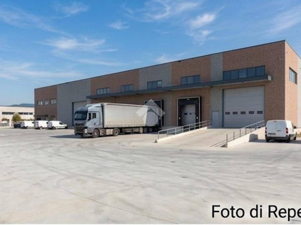 negozio in affitto a Figline e Incisa Valdarno in zona Massa