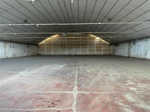 immagine annuncio 0 di 1