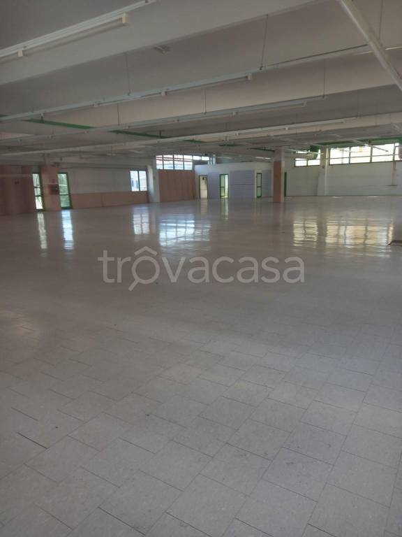 negozio in affitto a Borgomanero