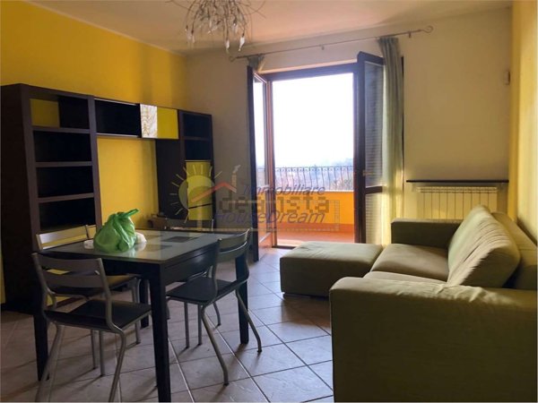 appartamento in affitto a Castelletto sopra Ticino