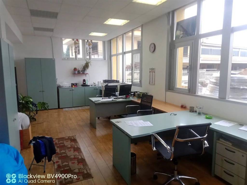 locale commerciale in affitto a Dormelletto