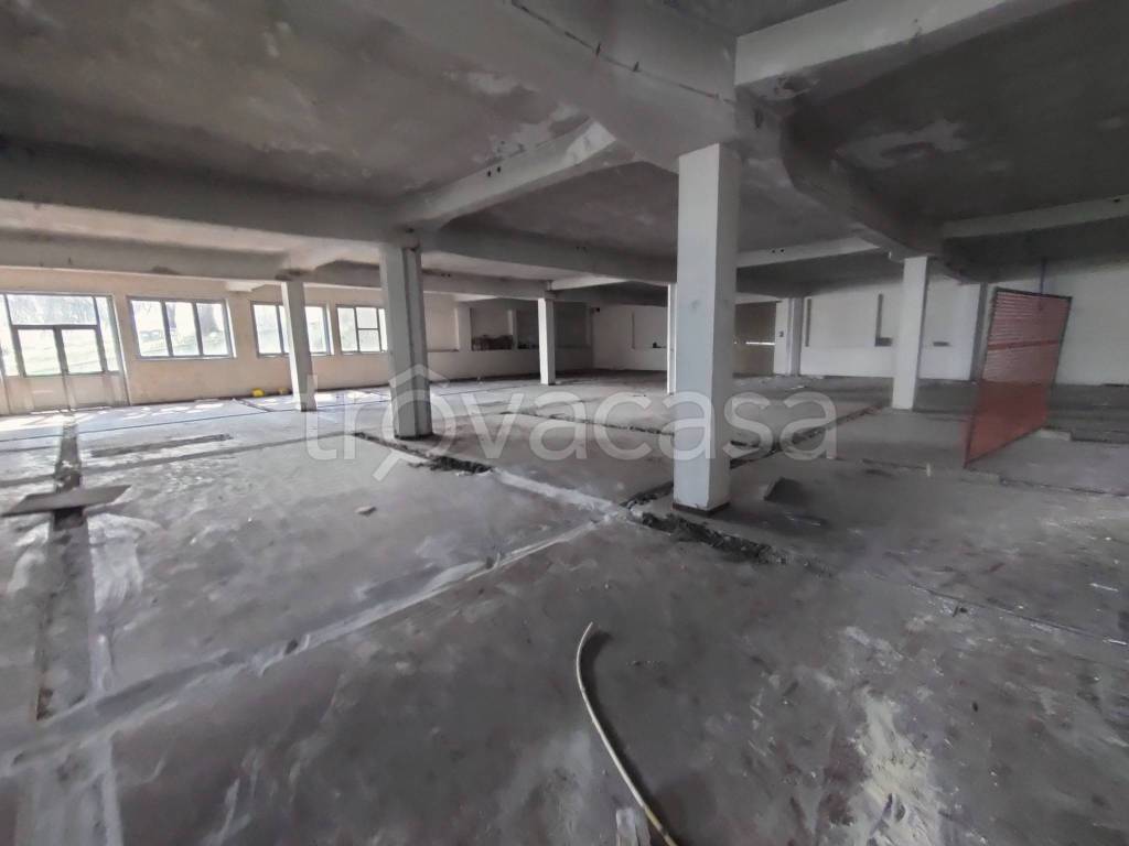 locale commerciale in affitto a Dormelletto