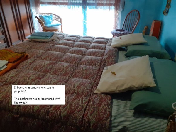 appartamento in affitto a Dormelletto