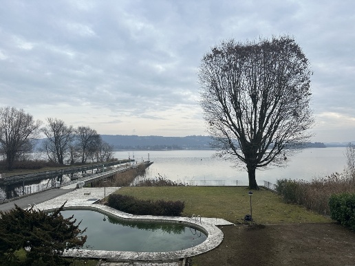 appartamento in affitto a Dormelletto