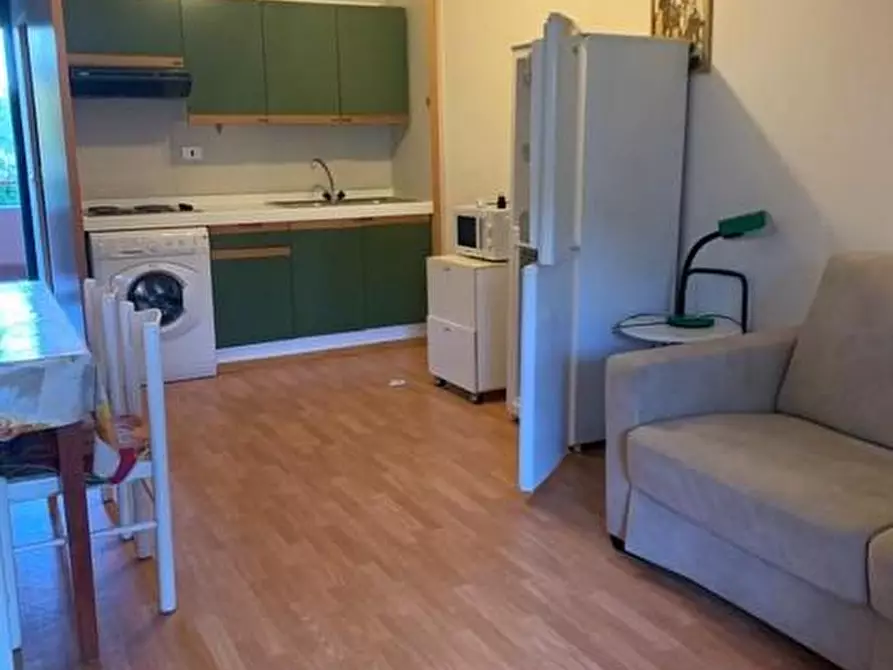 appartamento in affitto a Bibbona in zona Marina di Bibbona