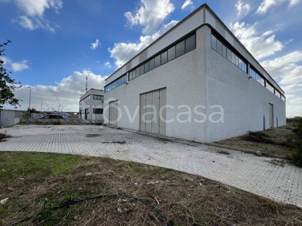 locale commerciale in affitto a Campiglia Marittima in zona Venturina