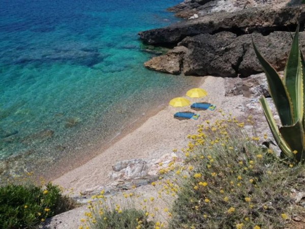 casa indipendente in affitto a Capoliveri