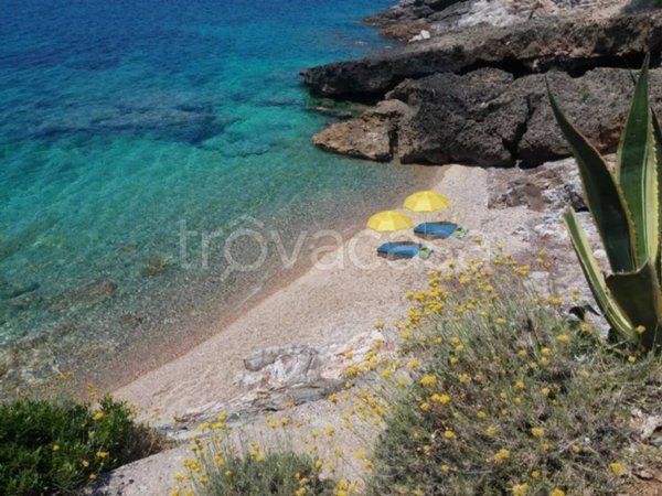 casa indipendente in affitto a Capoliveri
