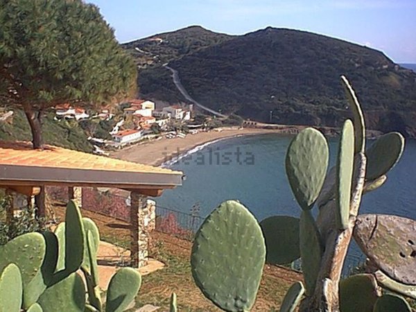 appartamento in affitto a Capoliveri