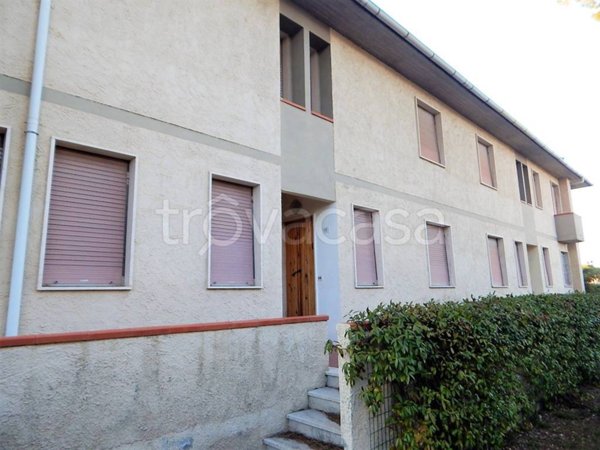 casa indipendente a Castagneto Carducci in zona Marina di Castagneto Carducci