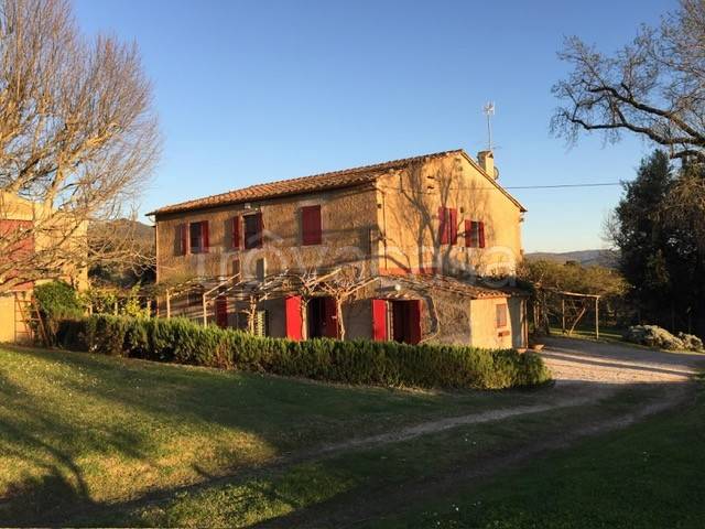 casa indipendente in affitto a Castagneto Carducci in zona Bolgheri
