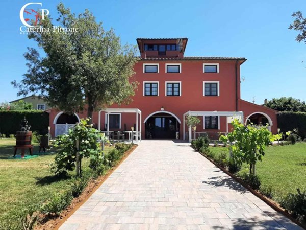 casa indipendente in affitto a Castagneto Carducci in zona Bolgheri