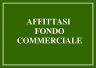 negozio in affitto a Cecina