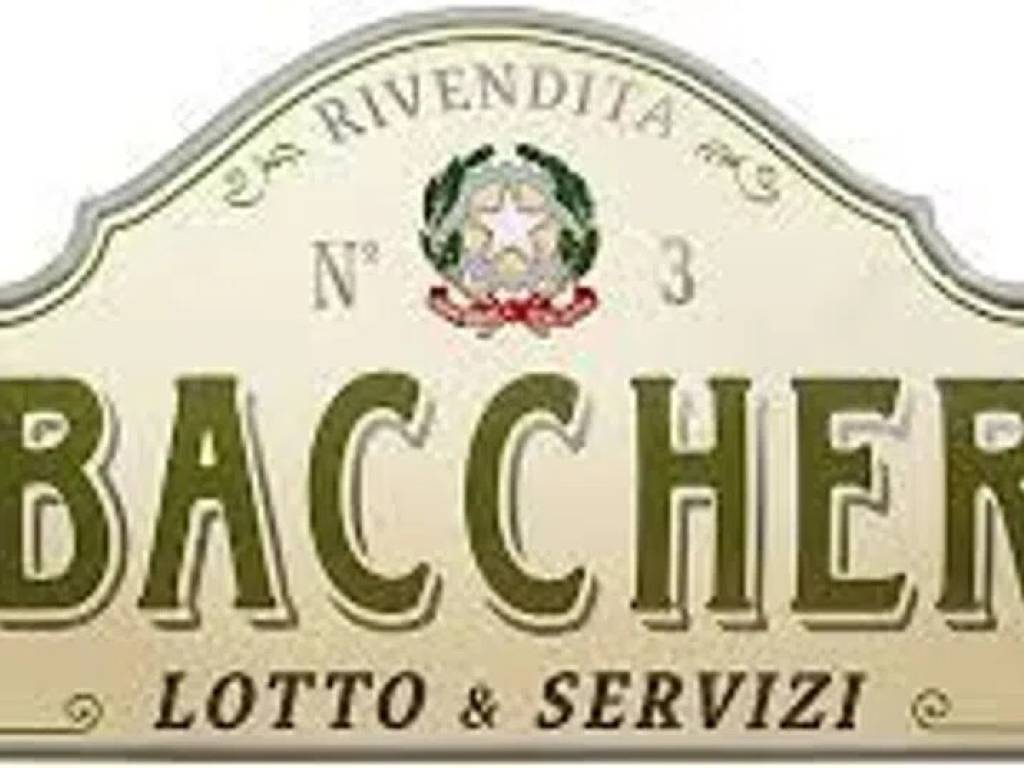 monolocale in affitto a Cecina
