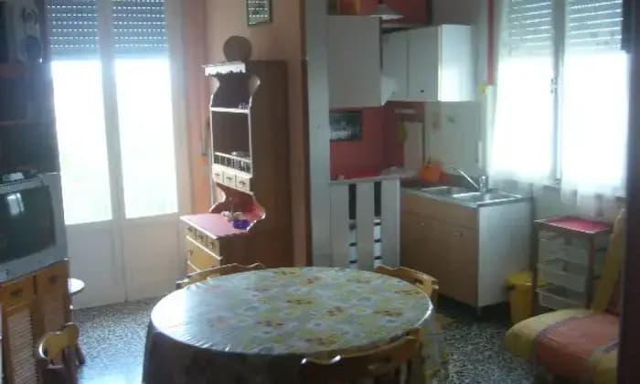 appartamento in affitto a Cecina