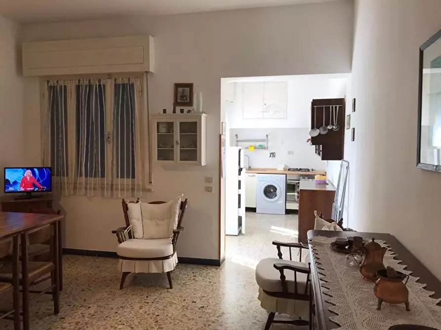 appartamento in affitto a Cecina
