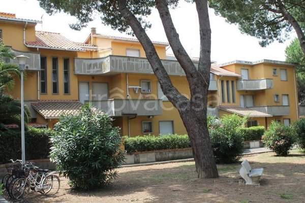 appartamento in affitto a Cecina