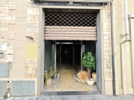 negozio in affitto a Cecina