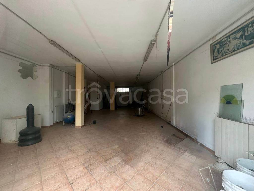 negozio in affitto a Cecina