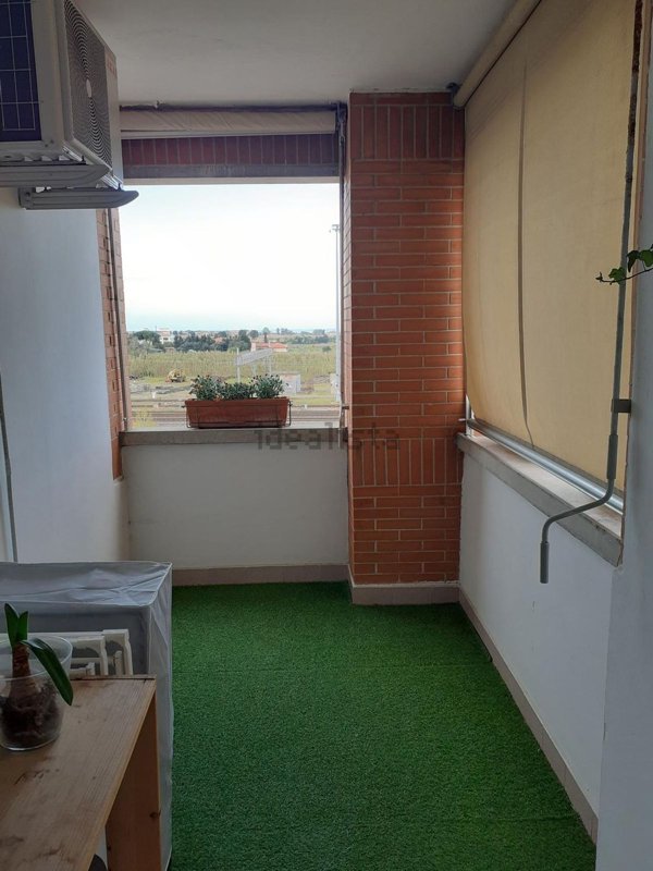 appartamento in affitto a Cecina