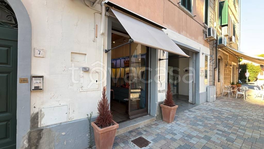 negozio in affitto a Cecina