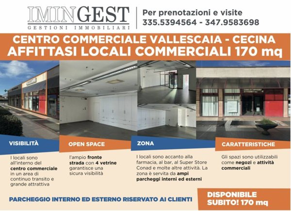 negozio in affitto a Cecina