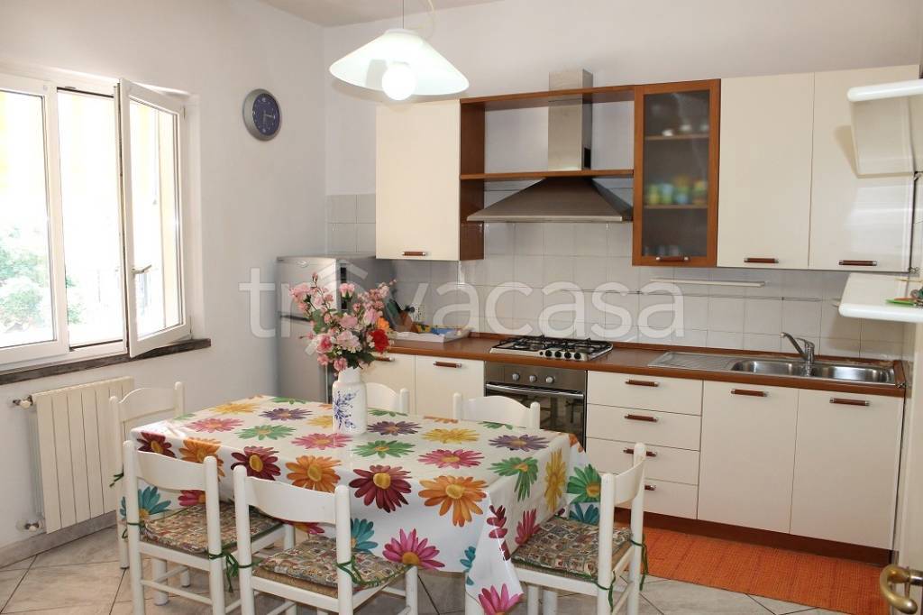 appartamento in affitto a Cecina