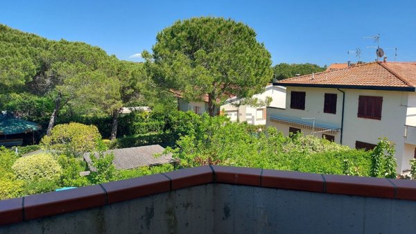 appartamento in affitto a Cecina