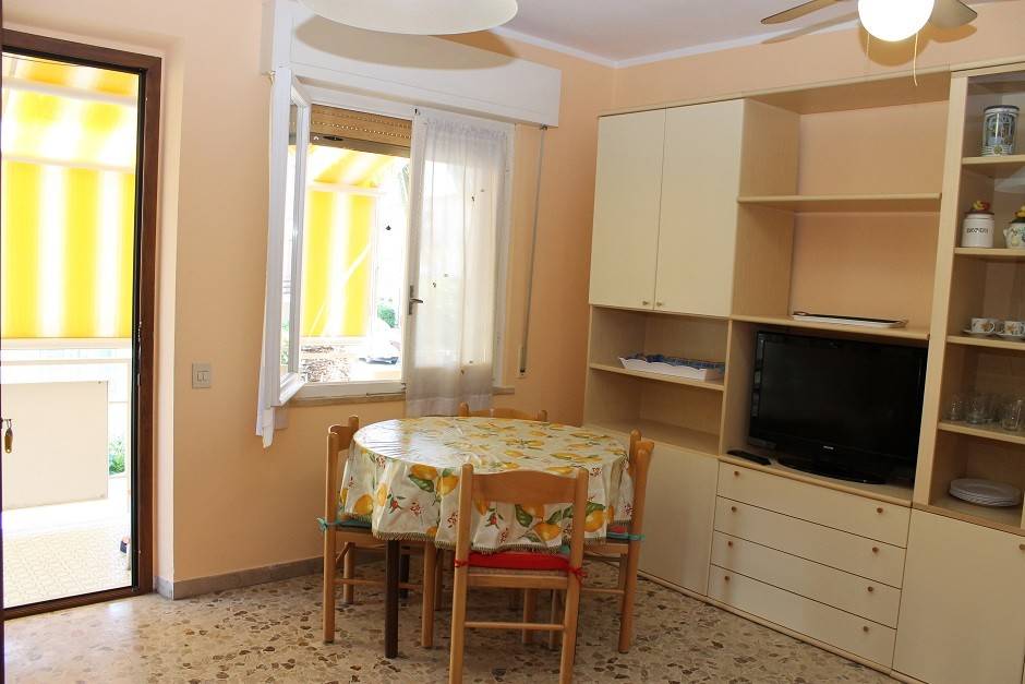 appartamento in affitto a Cecina