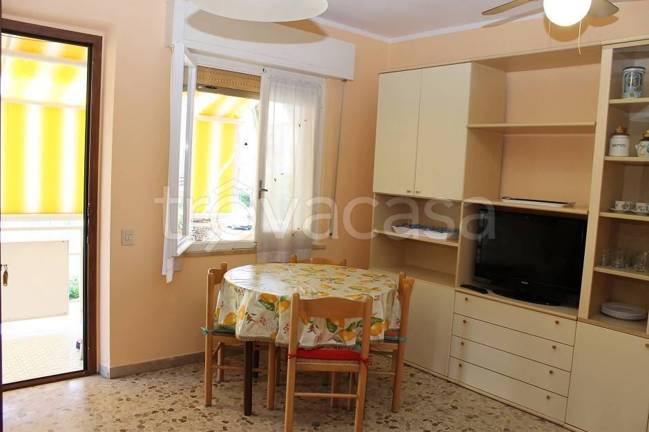 appartamento in affitto a Cecina