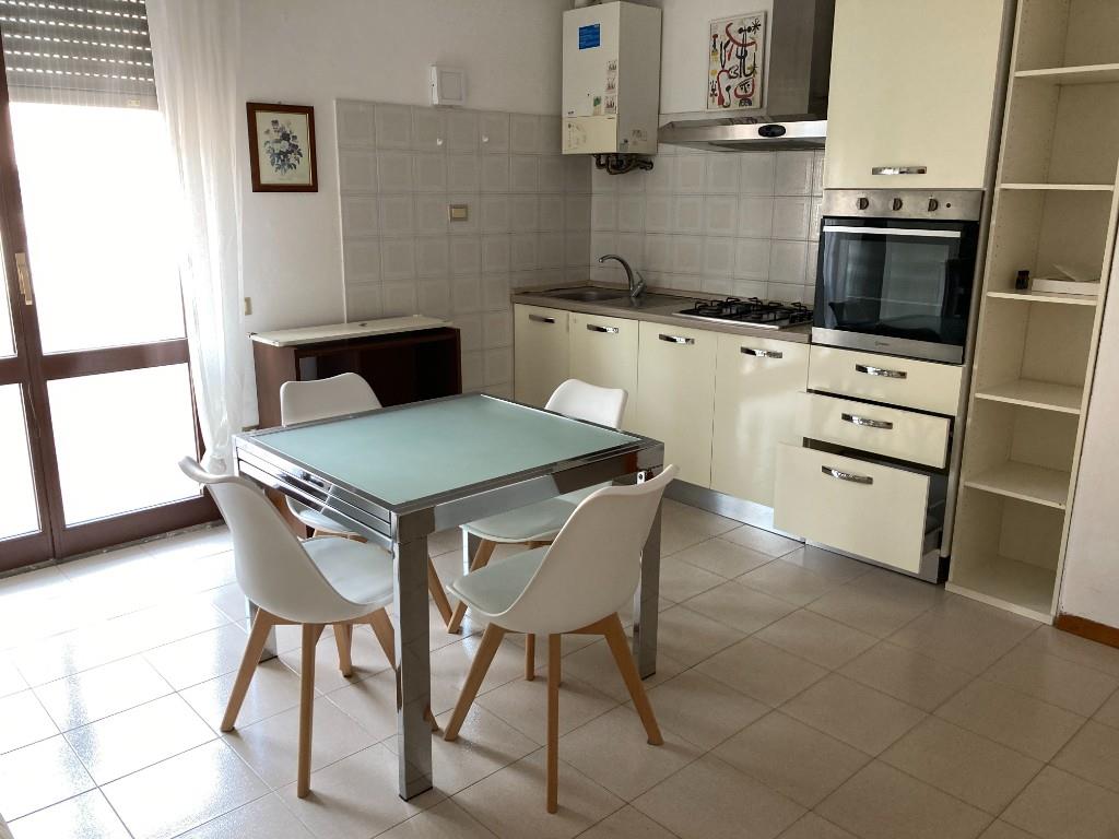 appartamento in affitto a Cecina