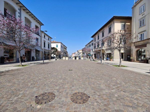 negozio in affitto a Cecina