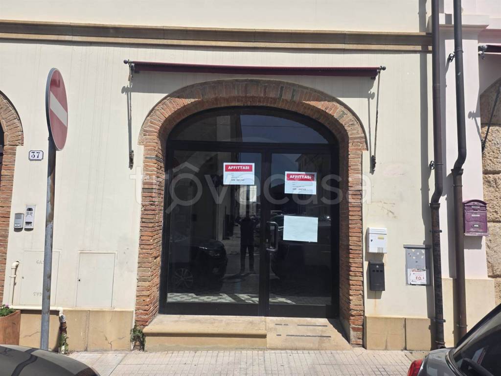 negozio in affitto a Cecina