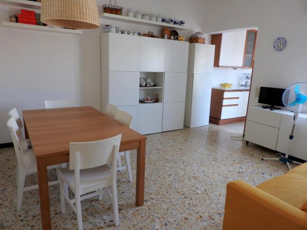 appartamento in affitto a Cecina