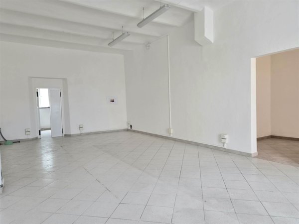 negozio in affitto a Cecina