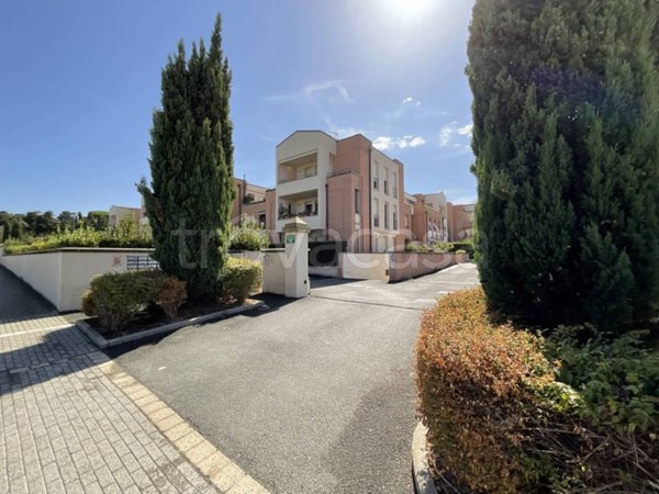 appartamento in affitto a Cecina