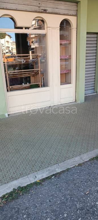 monolocale in affitto a Collesalvetti in zona Stagno