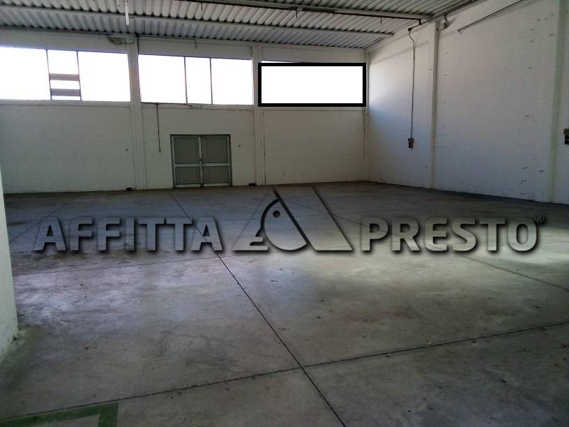 capannone in affitto a Collesalvetti