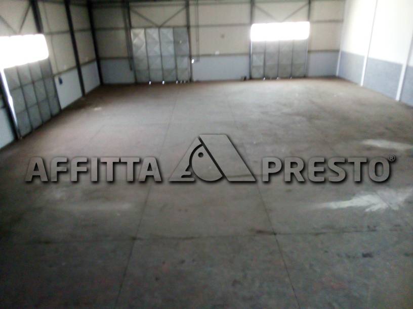 capannone in affitto a Collesalvetti