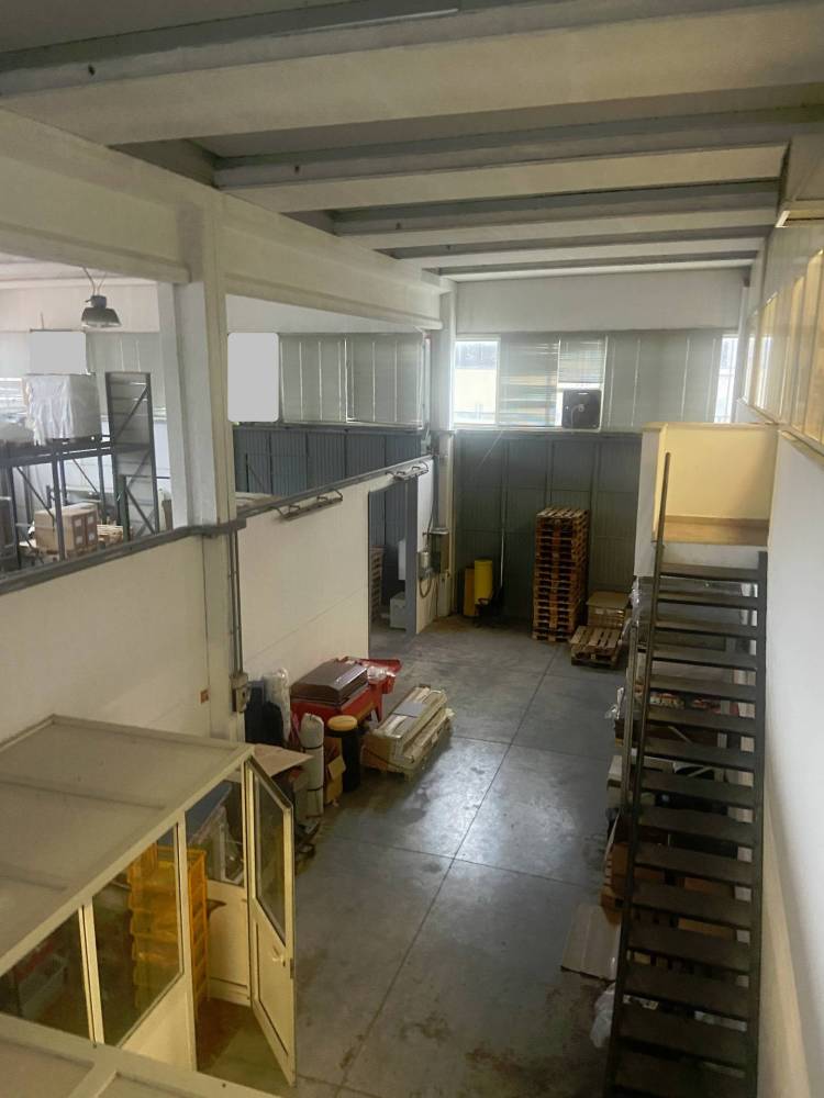 negozio in affitto a Collesalvetti in zona Stagno