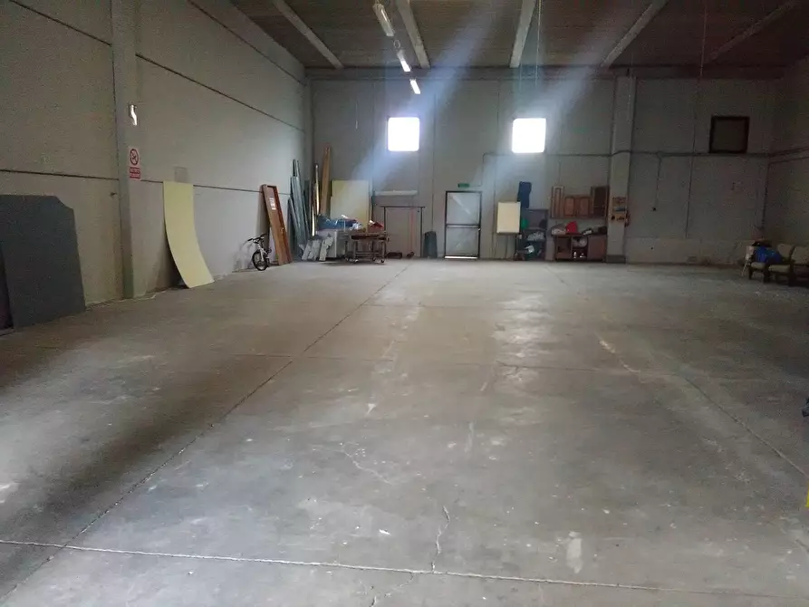 negozio in affitto a Collesalvetti