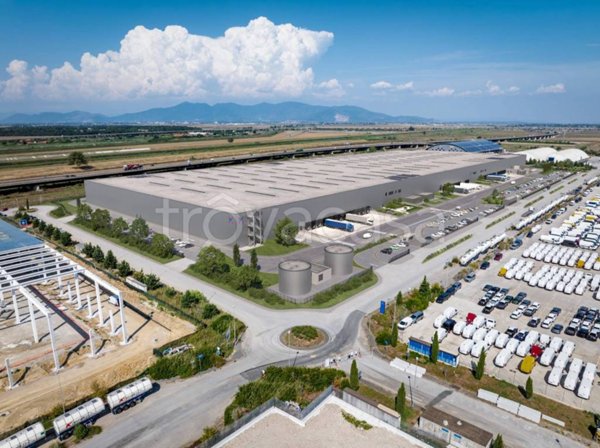 locale commerciale in affitto a Collesalvetti