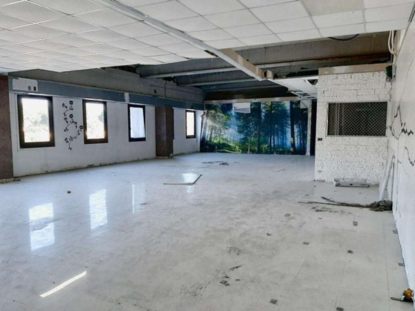 locale commerciale in affitto a Collesalvetti in zona Stagno