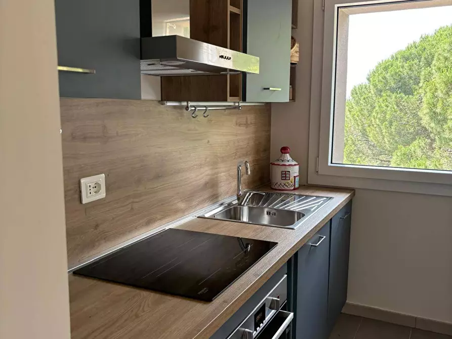 appartamento in affitto a Collesalvetti