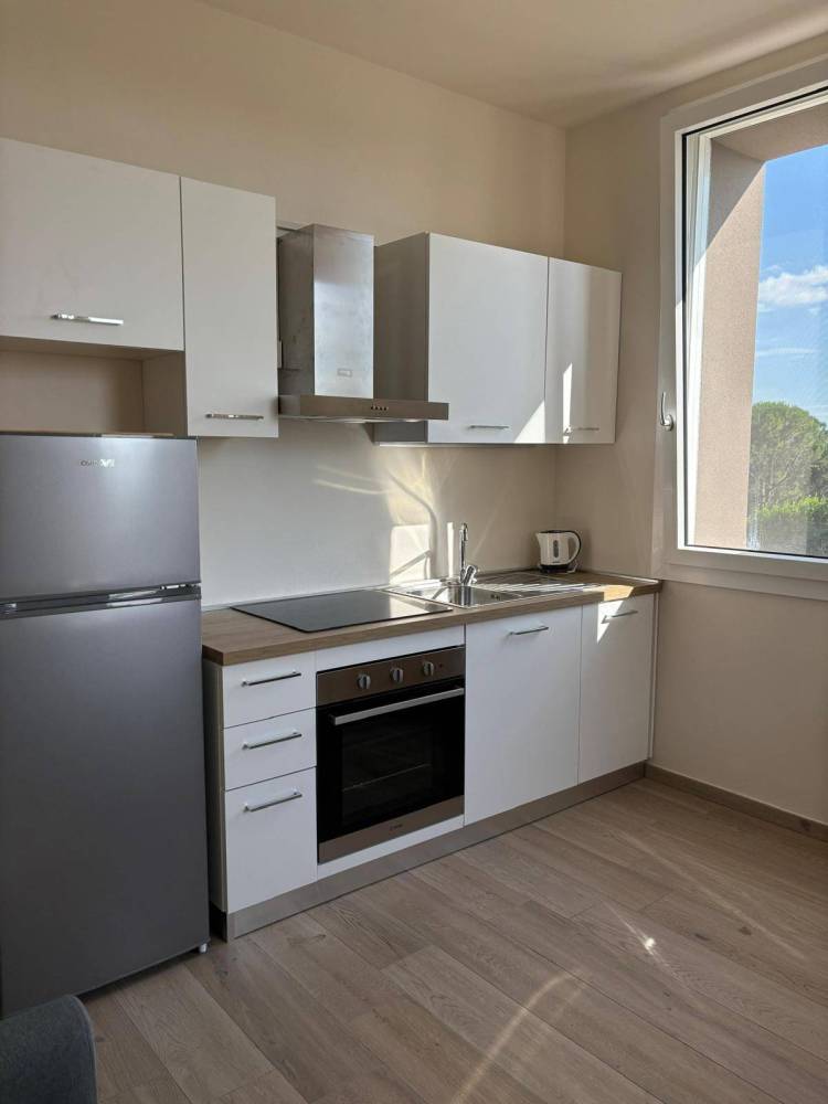 appartamento in affitto a Collesalvetti