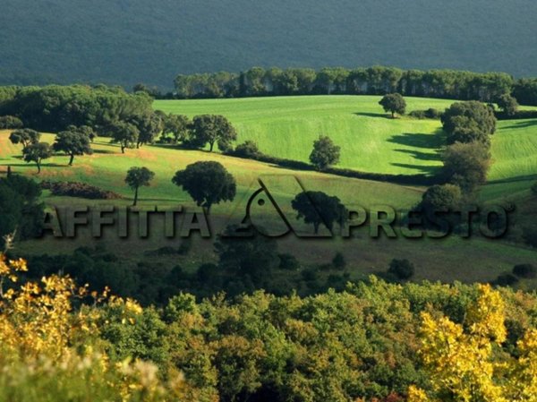 appartamento in affitto a Collesalvetti