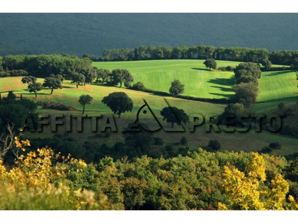 ufficio in affitto a Collesalvetti in zona Stagno